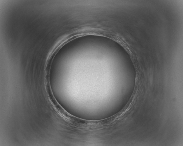 X0000060750101200511100948