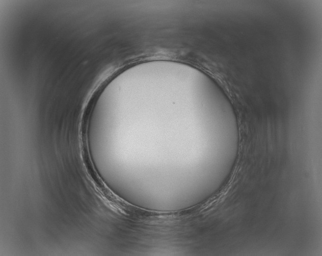 X0000060750102200511100948