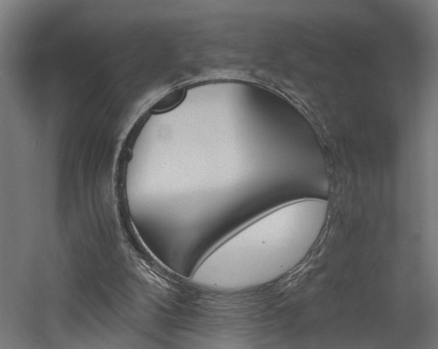 X0000060750104200511100948