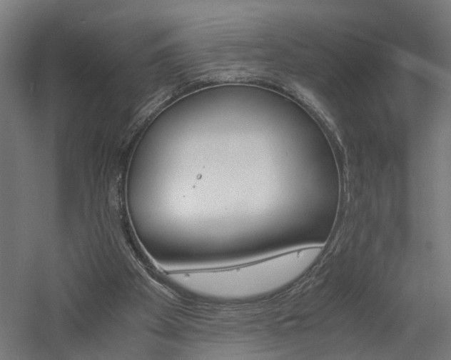 X0000060750105200511100948