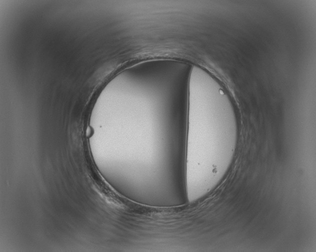 X0000060750107200511100948