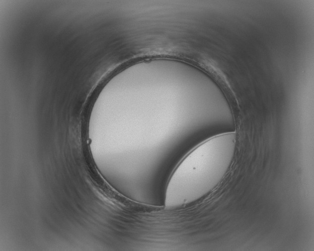 X0000060750108200511100948