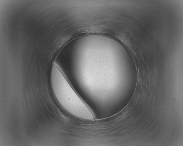 X0000060750109200511100948