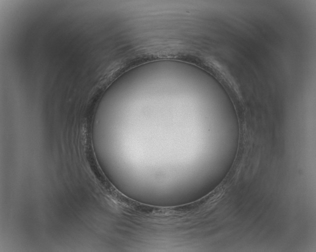 X0000060750113200511100948