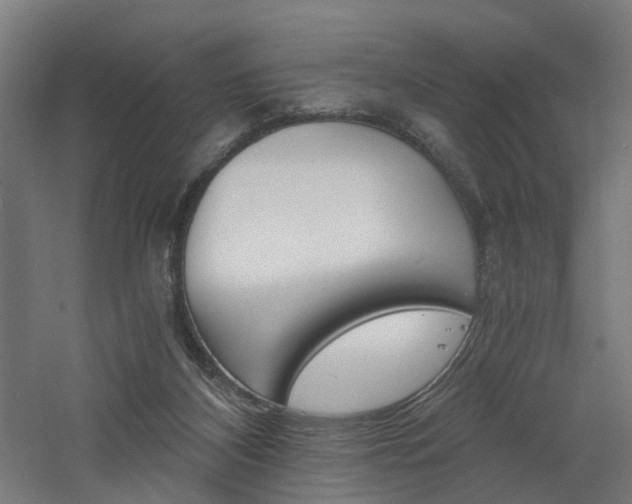 X0000060750116200511100948