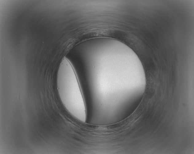 X0000060750123200511100948