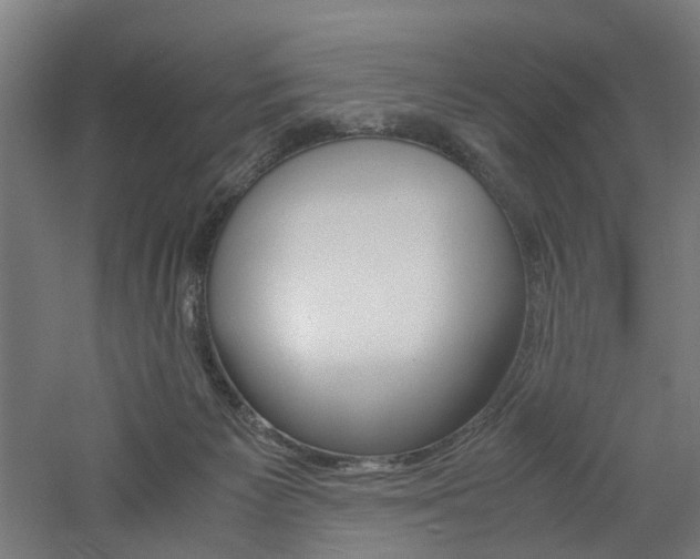 X0000060750125200511100948