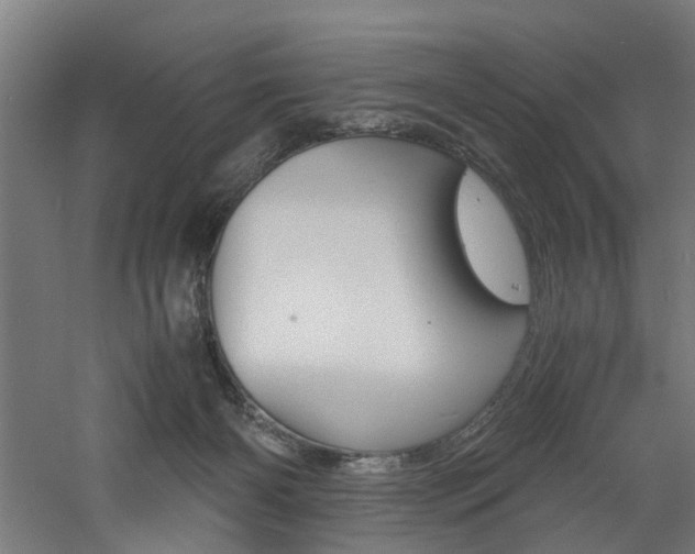 X0000060750126200511100948