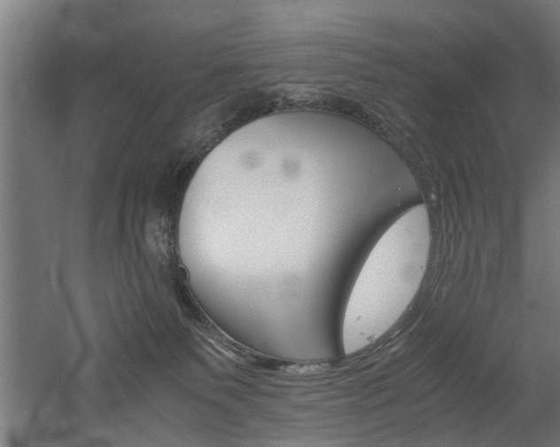 X0000060750135200511100948
