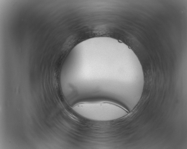 X0000060750136200511100948