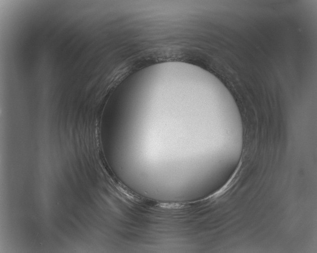 X0000060750144200511100947
