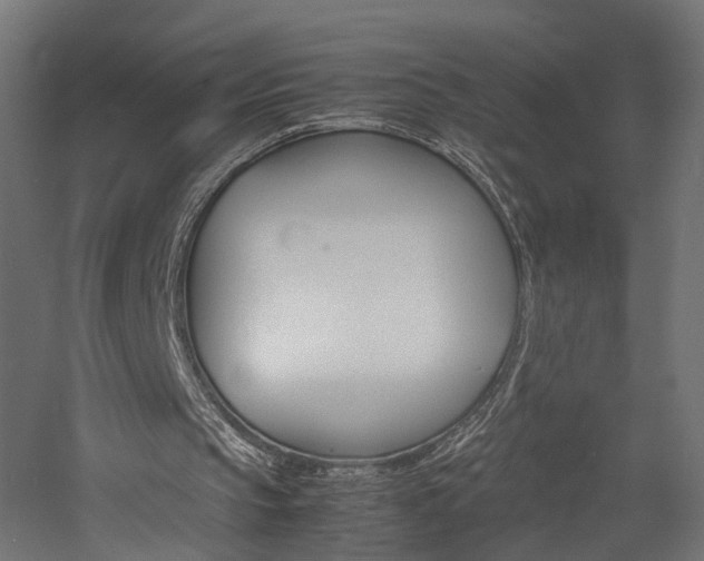 X0000060750145200511100947