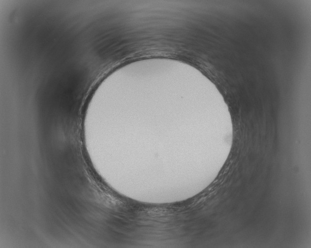 X0000060750146200511100947