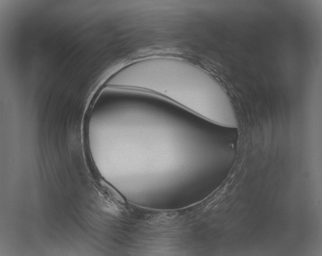 X0000060750148200511100947