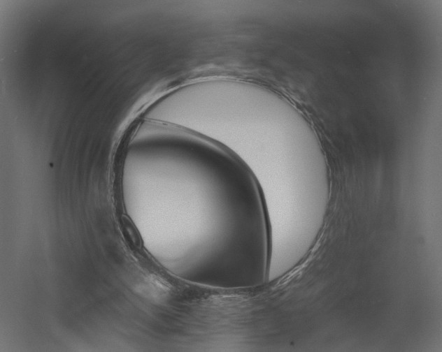 X0000060750150200511100947