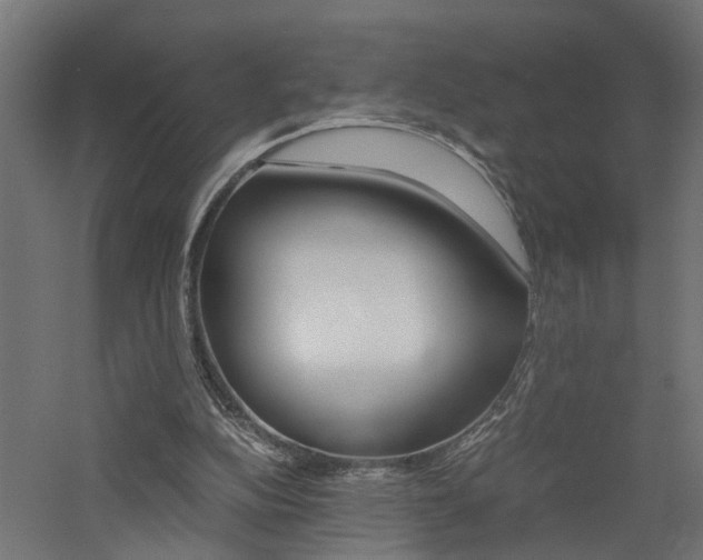 X0000060750152200511100947