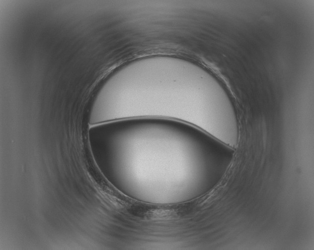 X0000060750154200511100947