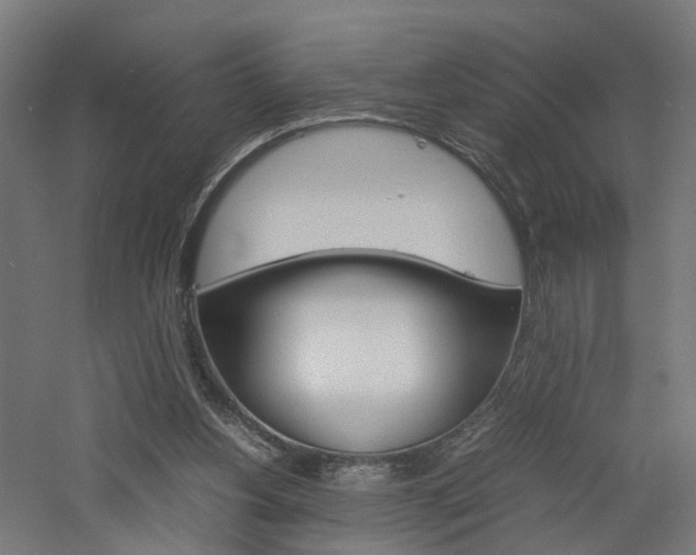 X0000060750156200511100947