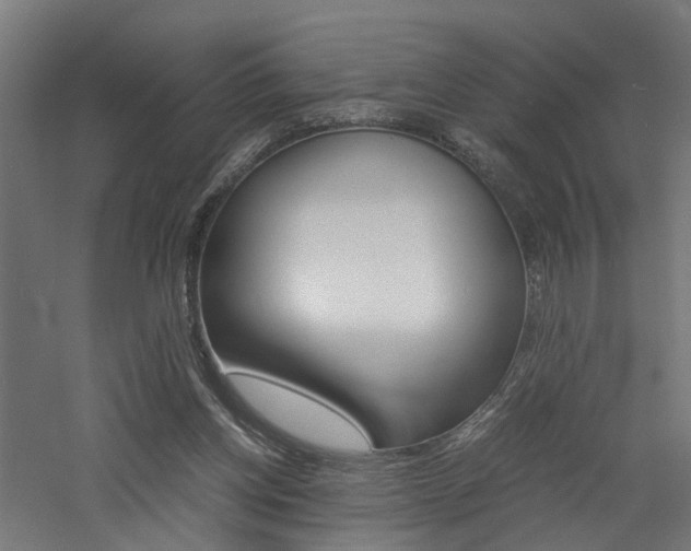 X0000060750158200511100947