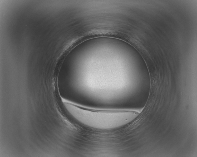 X0000060750160200511100947