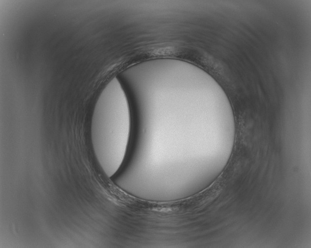 X0000060750161200511100947