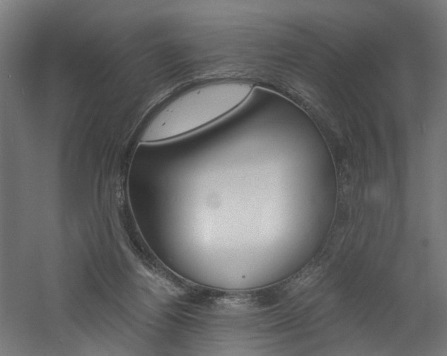 X0000060750164200511100947