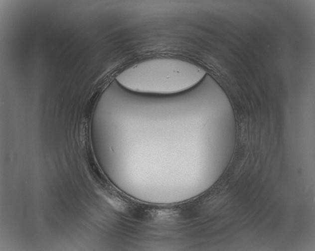 X0000060750165200511100947