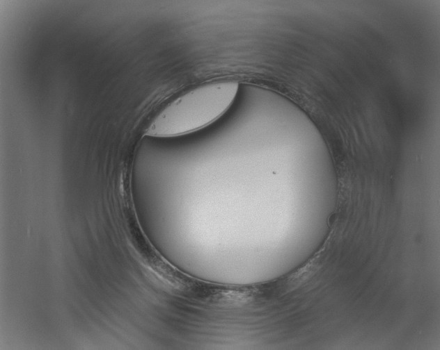 X0000060750166200511100947
