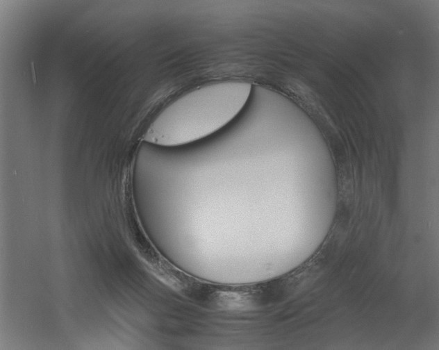 X0000060750167200511100947