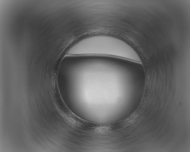 X0000060750168200511100947
