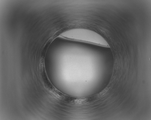 X0000060750172200511100947