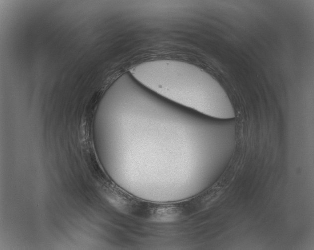 X0000060750173200511100947