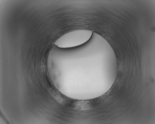 X0000060750179200511100947