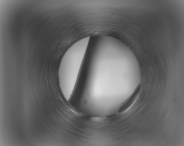 X0000060750192200511100947