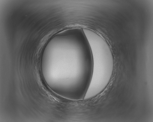 X0000060750193200511100947