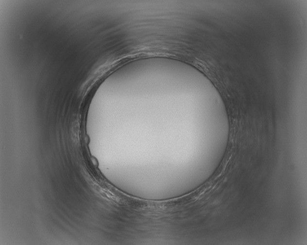 X0000060750194200511100947