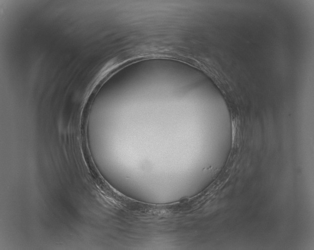 X0000060750195200511100947