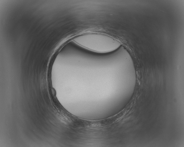X0000060750196200511100947