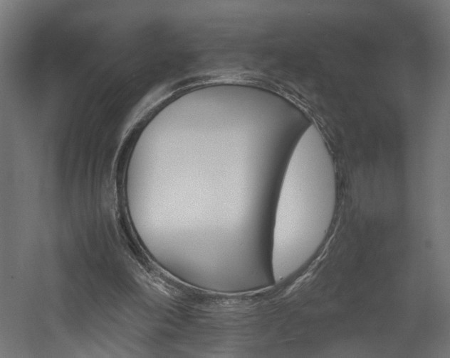 X0000060750198200511100946