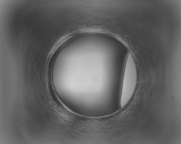 X0000060750199200511100946