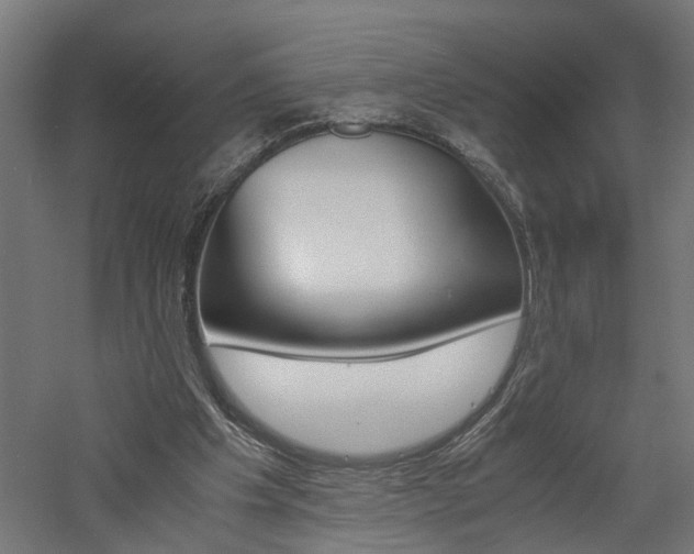 X0000060750201200511100946