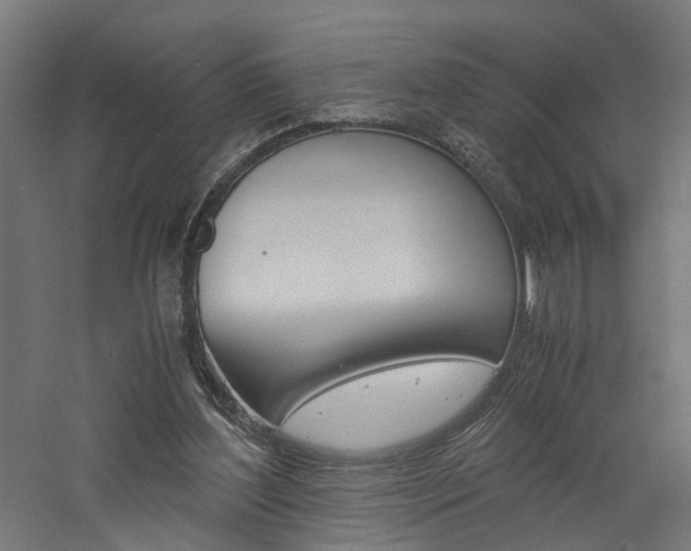 X0000060750204200511100946