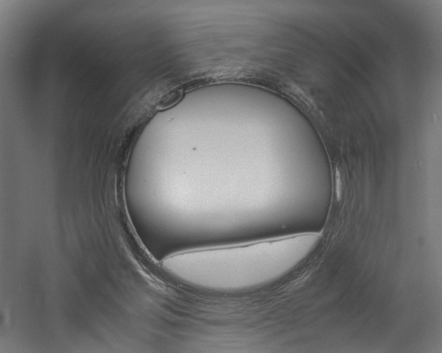X0000060750205200511100946