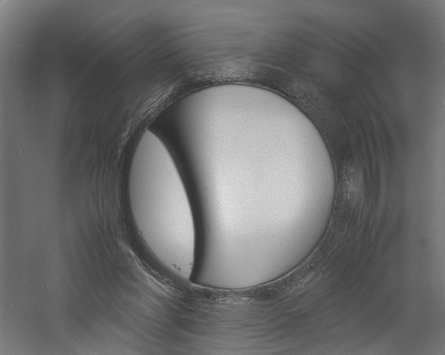 X0000060750206200511100946