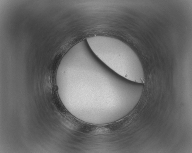 X0000060750210200511100946