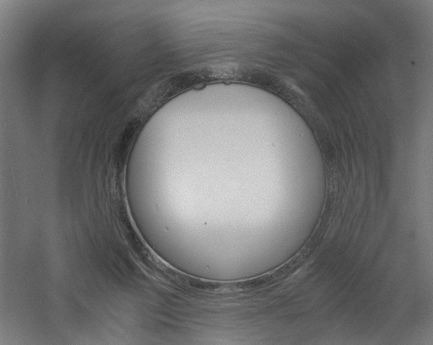 X0000060750213200511100946