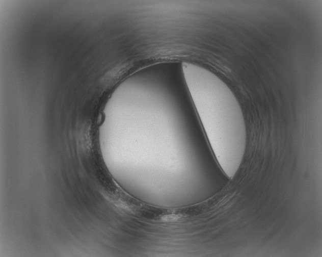 X0000060750216200511100946