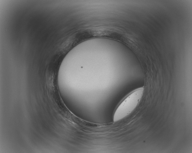 X0000060750219200511100946