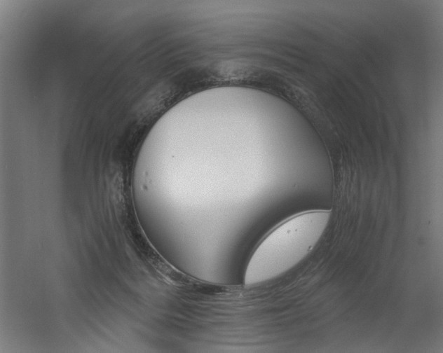 X0000060750220200511100946