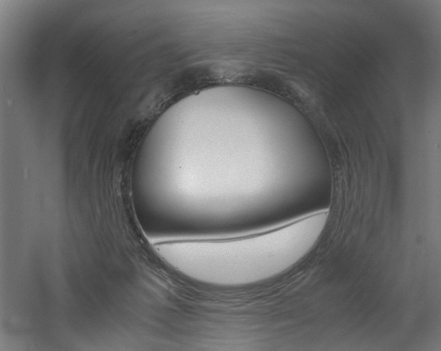 X0000060750221200511100946